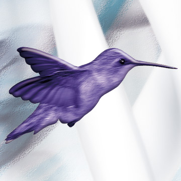 logotype ceralabo, PAO, WEB design