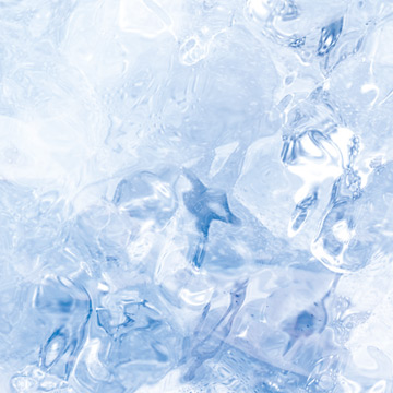 TLM, web design, PAO